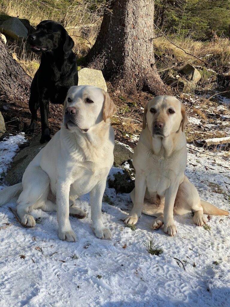 Teddy and Harper