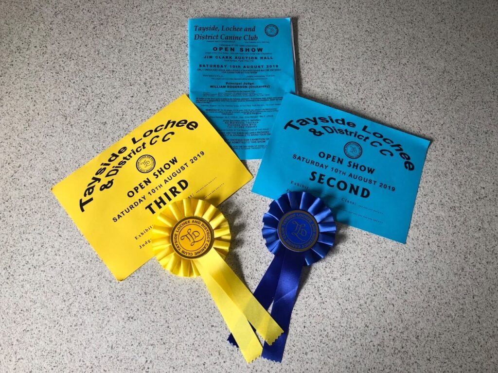 certificate 1