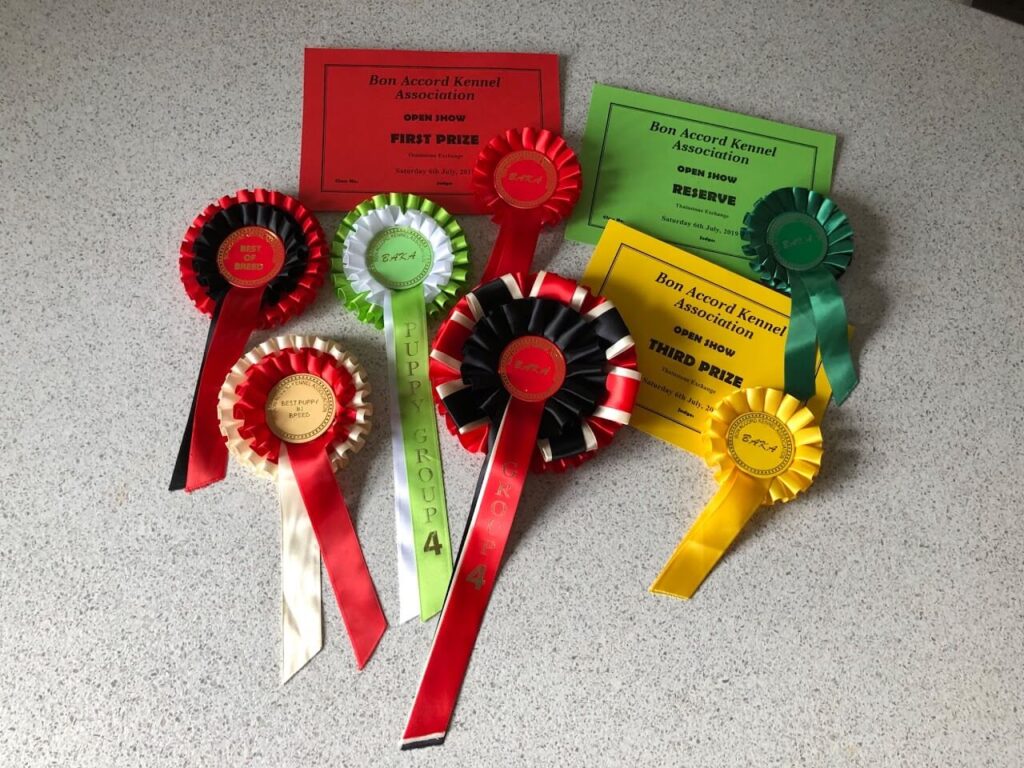 certificate 2