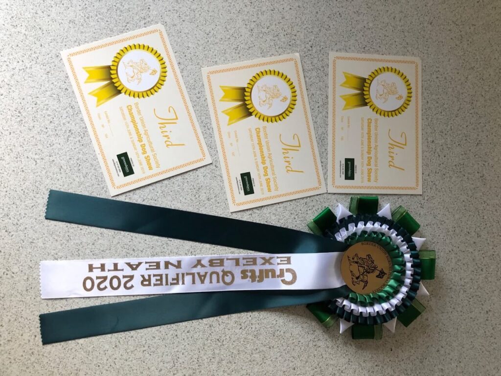 certificate 3