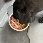 IMG 3615