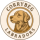 logo Corrybeg Labradors